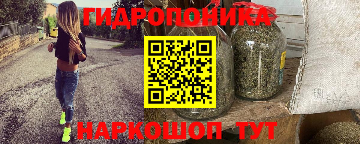 Каннабис план Борисоглебск